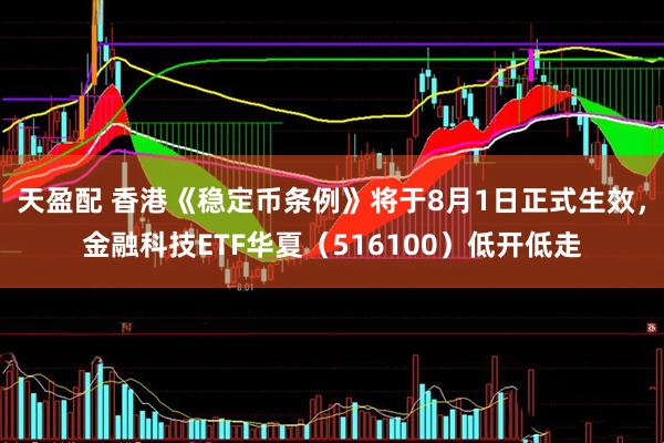 天盈配 香港《稳定币条例》将于8月1日正式生效，金融科技ETF华夏（516100）低开低走