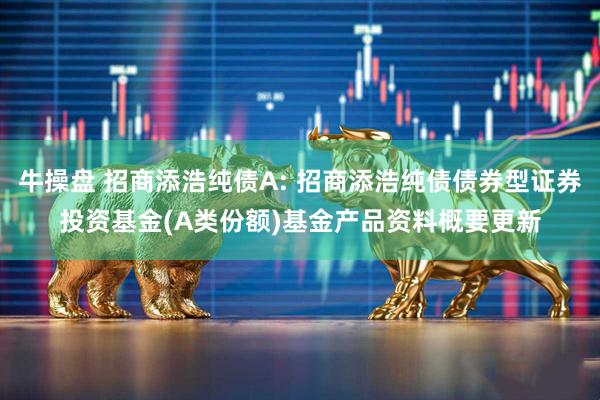 牛操盘 招商添浩纯债A: 招商添浩纯债债券型证券投资基金(A类份额)基金产品资料概要更新